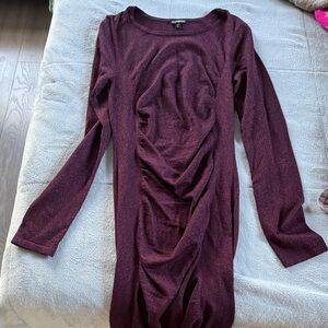 Express Deep Purple Long Sleeve Dress
